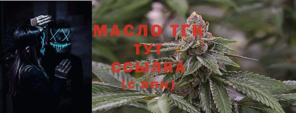 прущие грибы Белая Холуница