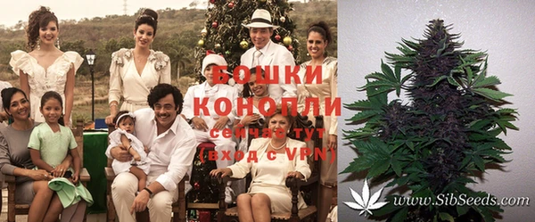 не бодяженный Нея